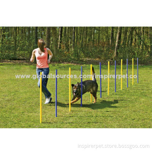 Dog Agility Slalom Training Equipment Weave Poles